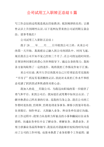 公司试用工入职转正总结5篇