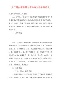 文广局扫黑除恶专项斗争工作总结范文
