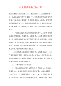 市发展改革委工作打算