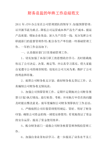 财务总监的年终工作总结范文