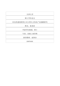 河北省建设投资公司大型火力发电产业战略研究