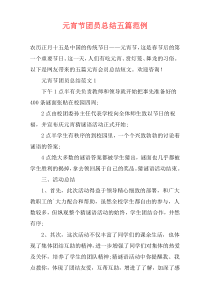 元宵节团员总结五篇范例