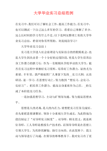 大学毕业实习总结范例