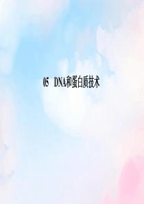 2019-2020学年高中生物 专题5 DNA和蛋白质技术 5-3 血红蛋白的提取和分离课件 新人教