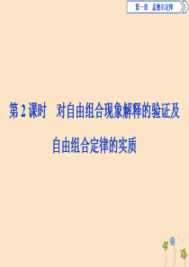 2019-2020学年高中生物 第一章 孟德尔定律 第二节 自由组合定律 第2课时 对自由组合现象解