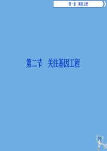 2019-2020学年高中生物 第一章 基因工程 第二节 关注基因工程课件 苏教版选修3