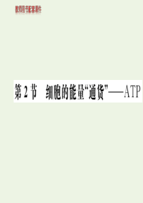 2019-2020学年高中生物 第5章 细胞的能量供应和利用 第2节 细胞的能量“通货”—ATP课件