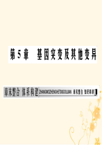 2019-2020学年高中生物 第5章 基因突变及其他变异章末整合体系构建课件 新人教版必修2