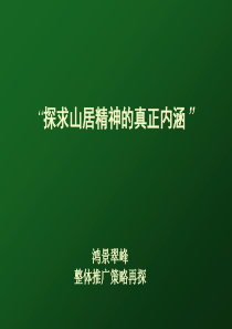 深圳鸿景翠峰山居项目整体策略方案