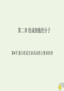 2019-2020学年高中生物 第2章 组成细胞的分子 第4节 蛋白质是生命活动的主要承担者课件 新