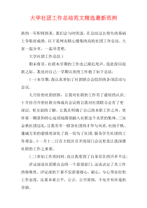 大学社团工作总结范文精选最新范例