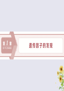 2019-2020学年高中生物 第1章 遗传因子的发现 第1节 孟德尔的豌豆杂交实验（一）（Ⅰ）课件