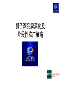 狮子湖品牌深化及阶段性推广策略XL