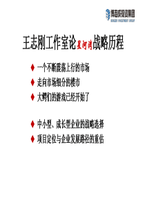 王志刚工作室论星河湾战略历程