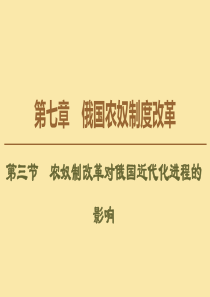 2019-2020学年高中历史 第7章 俄国农奴制度改革 第3节 农奴制改革对俄国近代化进程的影响课