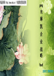 玫琳凯企业战略管理（PPT25页）