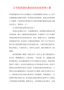 公司组织团队建设活动总结范例5篇