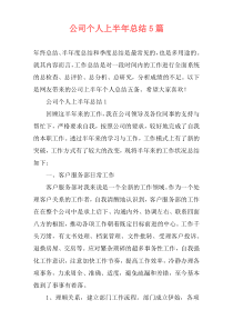 公司个人上半年总结5篇