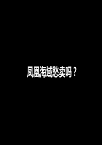 珠海凤凰海域项目推广策略_94PPT_主观广告