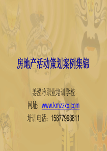 地产策划活动案例集锦