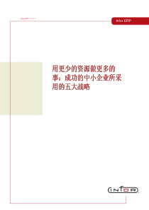 用更少的资源做更多的事：成功的中小企业所采用的五大战略