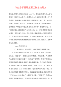 市应急管理局主要工作总结范文