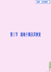 2019-2020学年高中地理 第四章 生态环境保护 第三节 湿地干涸及其恢复课件 新人教版选修6