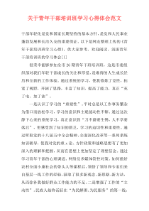 关于青年干部培训班学习心得体会范文