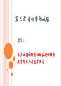 目标市场战略