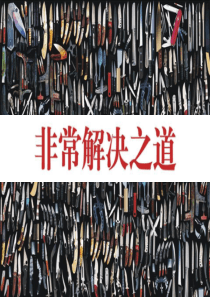 相互广告-房地产大户型项目广告楼书文案稿-104PPT