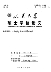 硕士论文-中国网络广告现状与策略研究