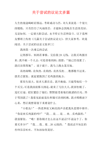 关于尝试的议论文多篇