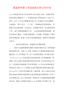 质监局年度工作总结范文和工作计划