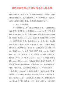 自然资源年度工作总结范文及工作思路
