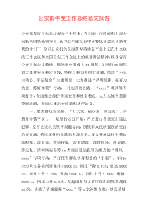 公安部年度工作总结范文报告