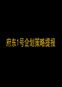 福建石狮市府东1号企划策略提报_104PPT