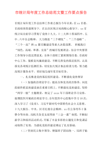 市统计局年度工作总结范文暨工作要点报告