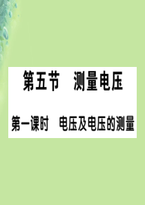 2018秋九年级物理全册 第十四章 第五节 测量电压（第1课时 电压及电压的测量）习题课件 （新版）