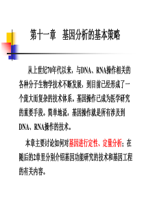 第10章基因分析的基本策略