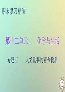 2018秋九年级化学下册 期末复习精炼 第十二单元 化学与生活 专题三 人类重要的营养物质课件 （新