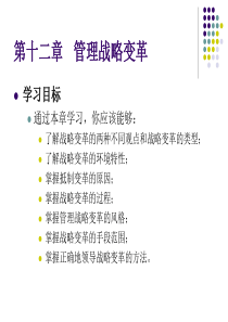 第12章管理战略变革