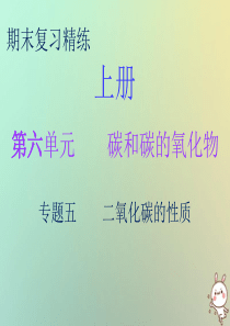 2018秋九年级化学上册 期末复习精炼 第六单元 碳和碳的氧化物 专题五 二氧化碳的性质课件 （新版