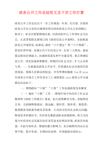 政务公开工作总结范文及下步工作打算