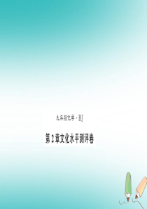 2018秋九年级化学上册 第2章 身边的化学物质文化水平测评卷习题课件 沪教版