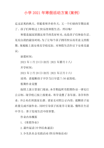 小学2021年寒假活动方案(案例)