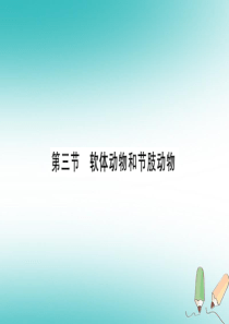 2018秋八年级生物上册 第5单元 第1章 第3节 软体动物和节肢动物第1课时习题课件 （新版）新人