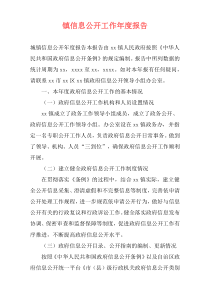 镇信息公开工作年度报告