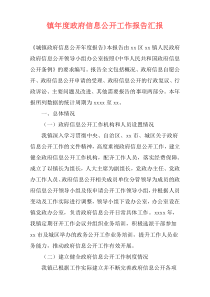 镇年度政府信息公开工作报告汇报