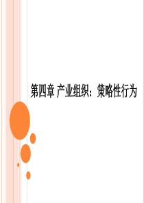 第4章策略性行为