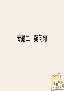 2018年小升初英语 第五讲 句型看台 专题二 疑问句课件